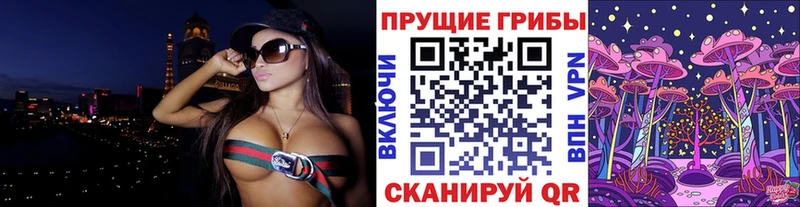 где купить наркотик Заволжье Псилоцибиновые грибы Magic Shrooms